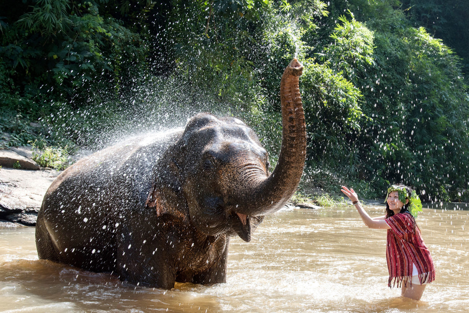 Thailand Temple Treats Wellness Retreat- October 31-Nov 8 (Single Room)